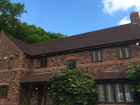 Roof Moss Removal / Soft Washing - Bright Roof Ltd